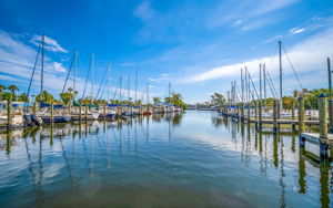 Bayshore Gardens Marina-4