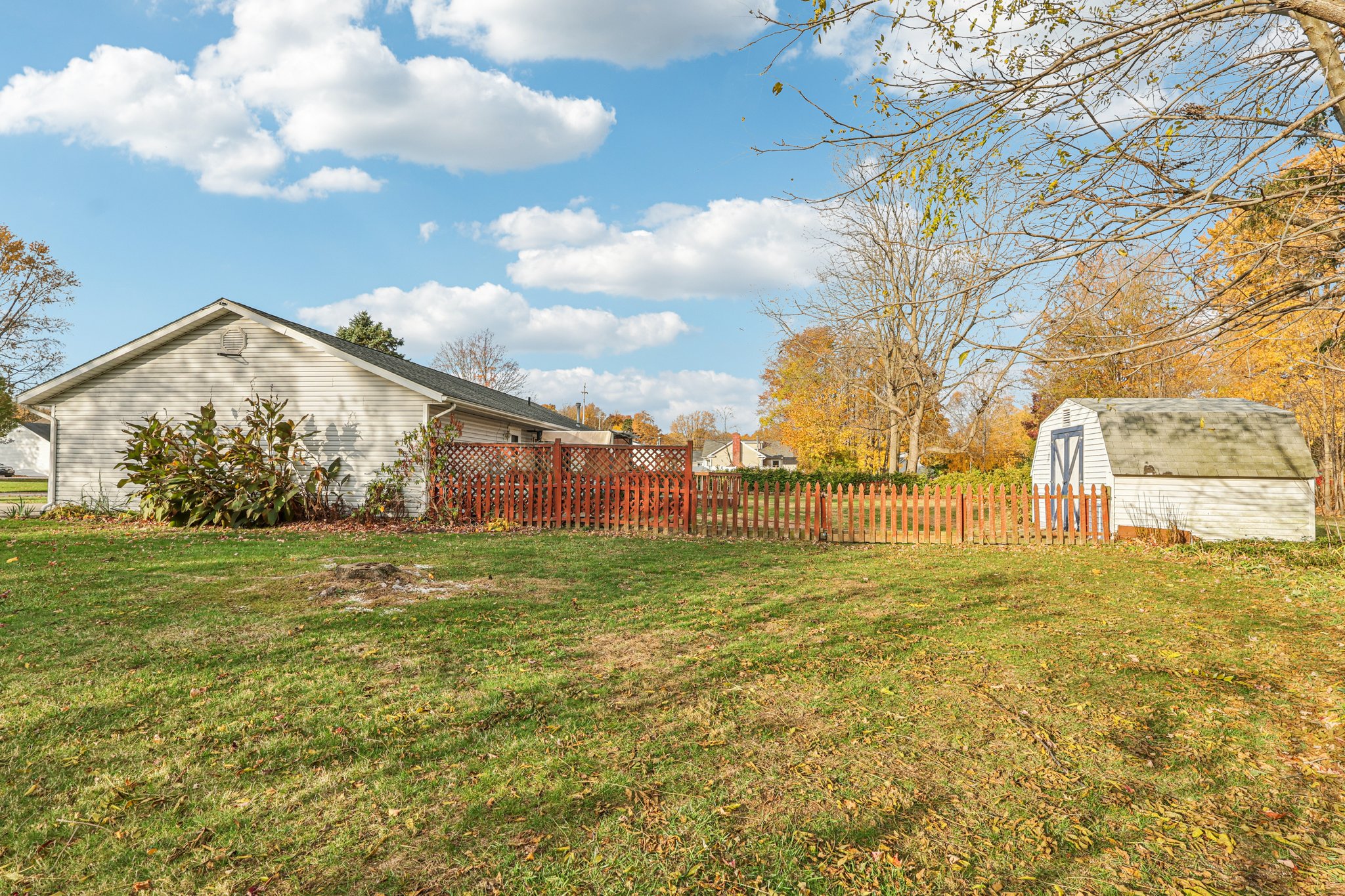 Dave Dr-S0611-036.jpg