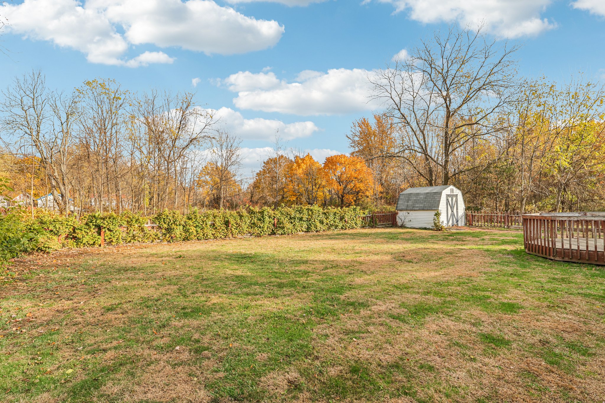 Dave Dr-S0611-040.jpg