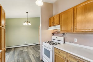 Dave Dr-S0611-016.jpg