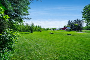  Photo 36