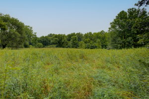 25 Land