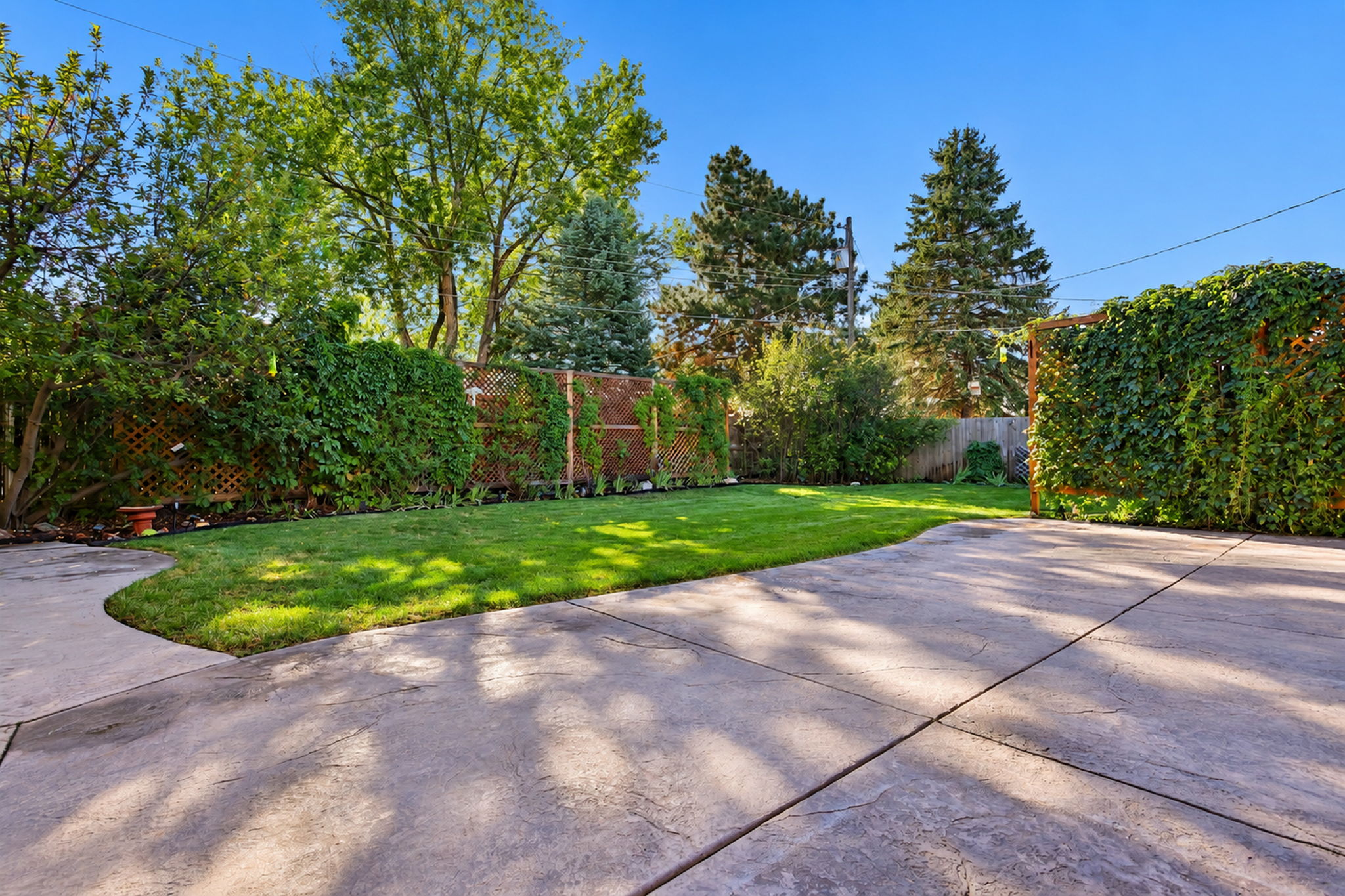 Back Yard