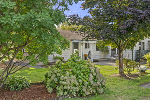  Photo 46