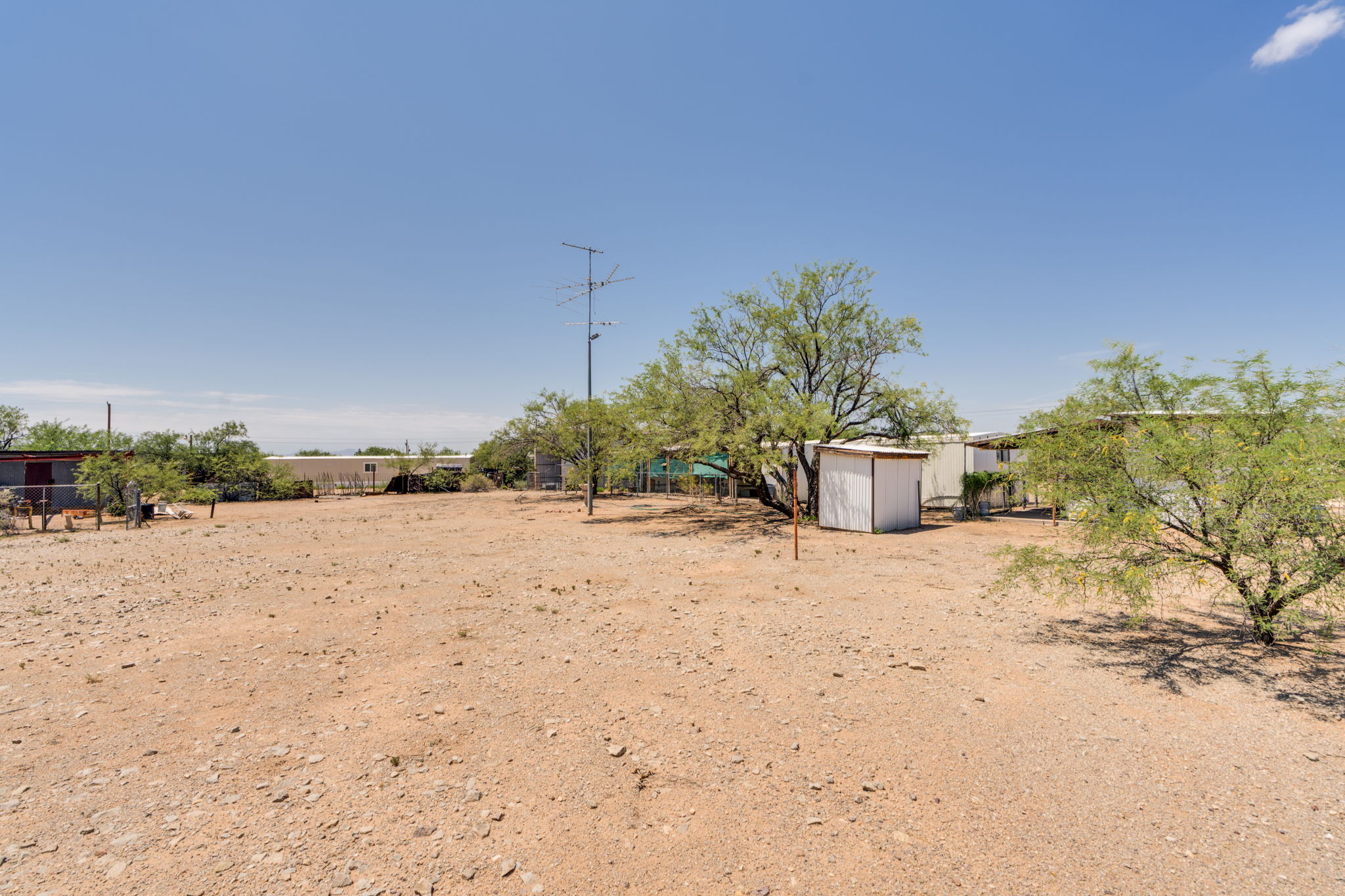  Photo 50
