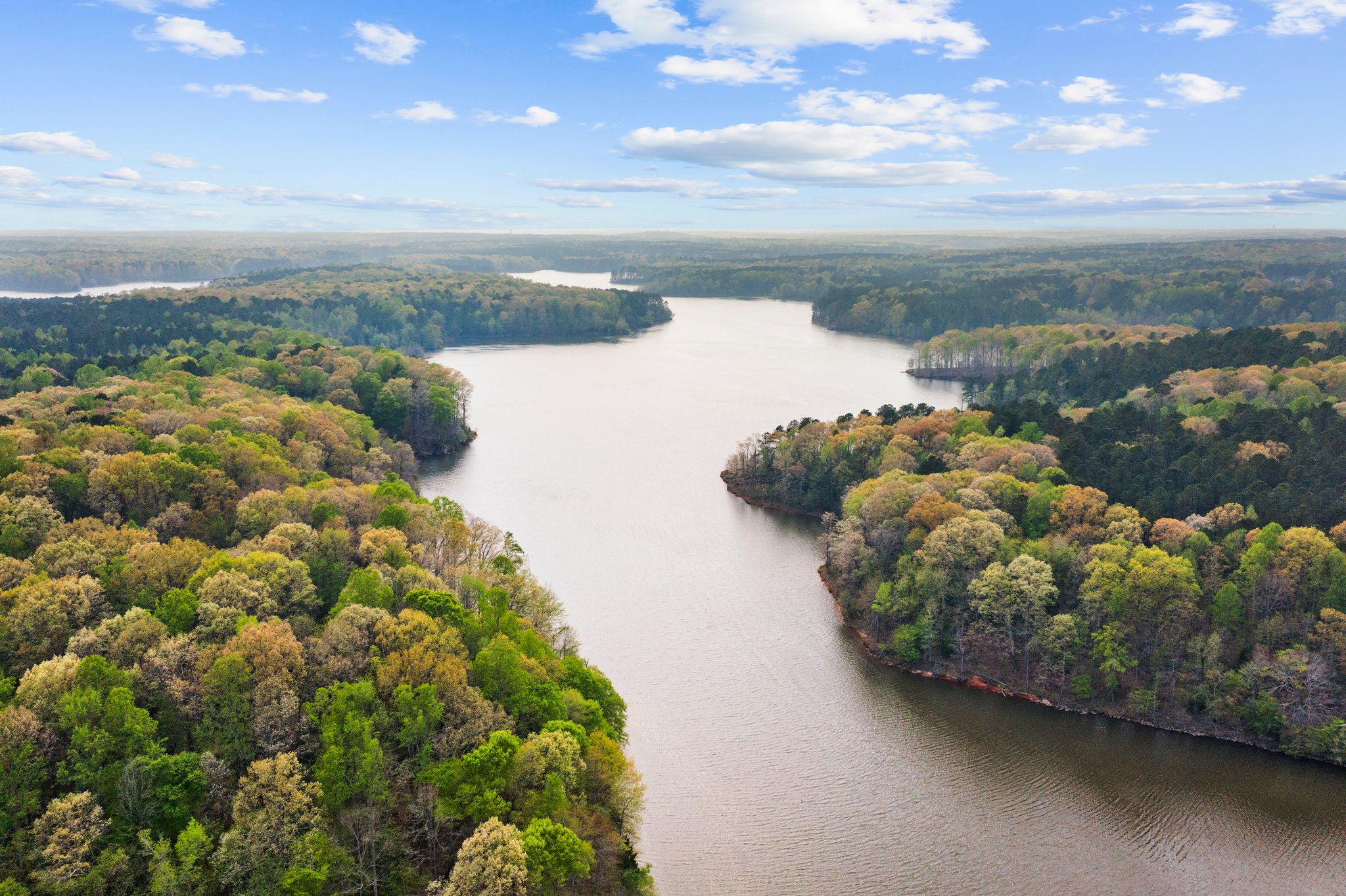 6725 Green Hollow Ct, Wake Forest, NC 27587, USA Photo 21