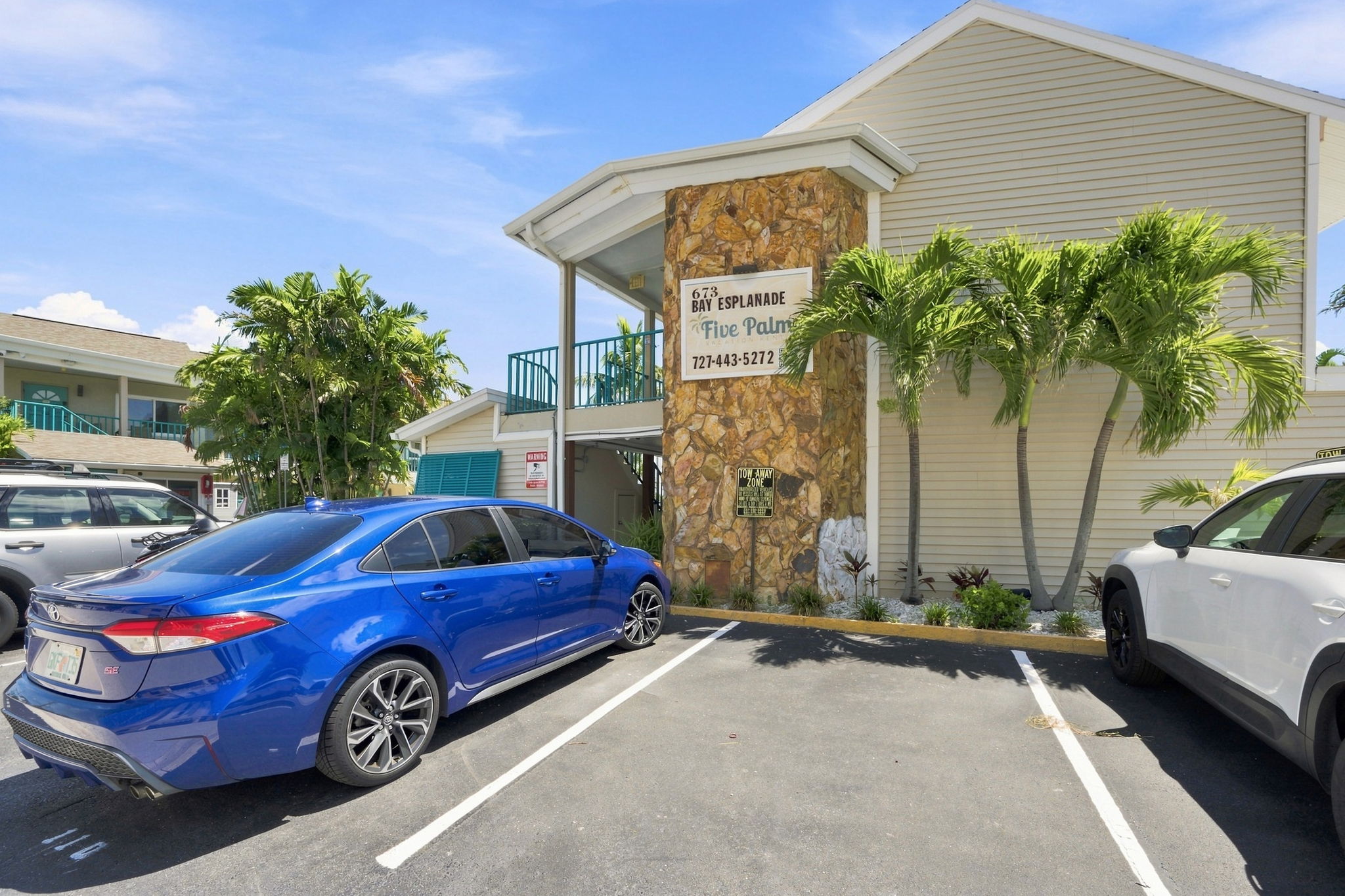 Five Palms1