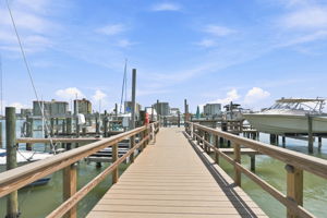 Dock1