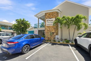 Five Palms1