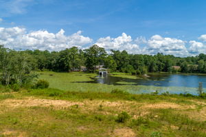 Drone View (7 of 14)