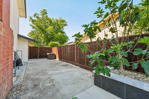 Side yard access with large gate