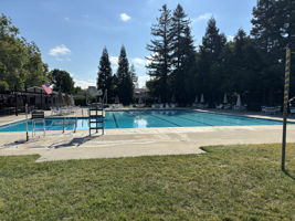 Neighborhood Pool Club