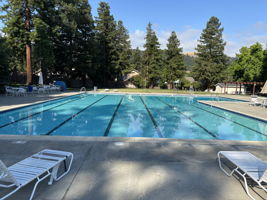 Neighborhood Pool Club Optional