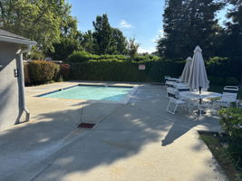 Baby Pool