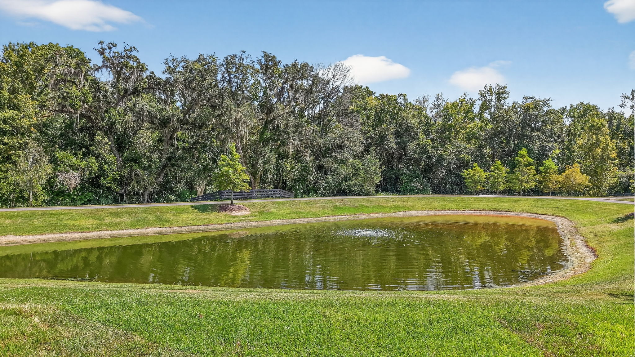 Serene Water Front and Preserve Views!