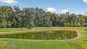 Serene Water Front and Preserve Views!