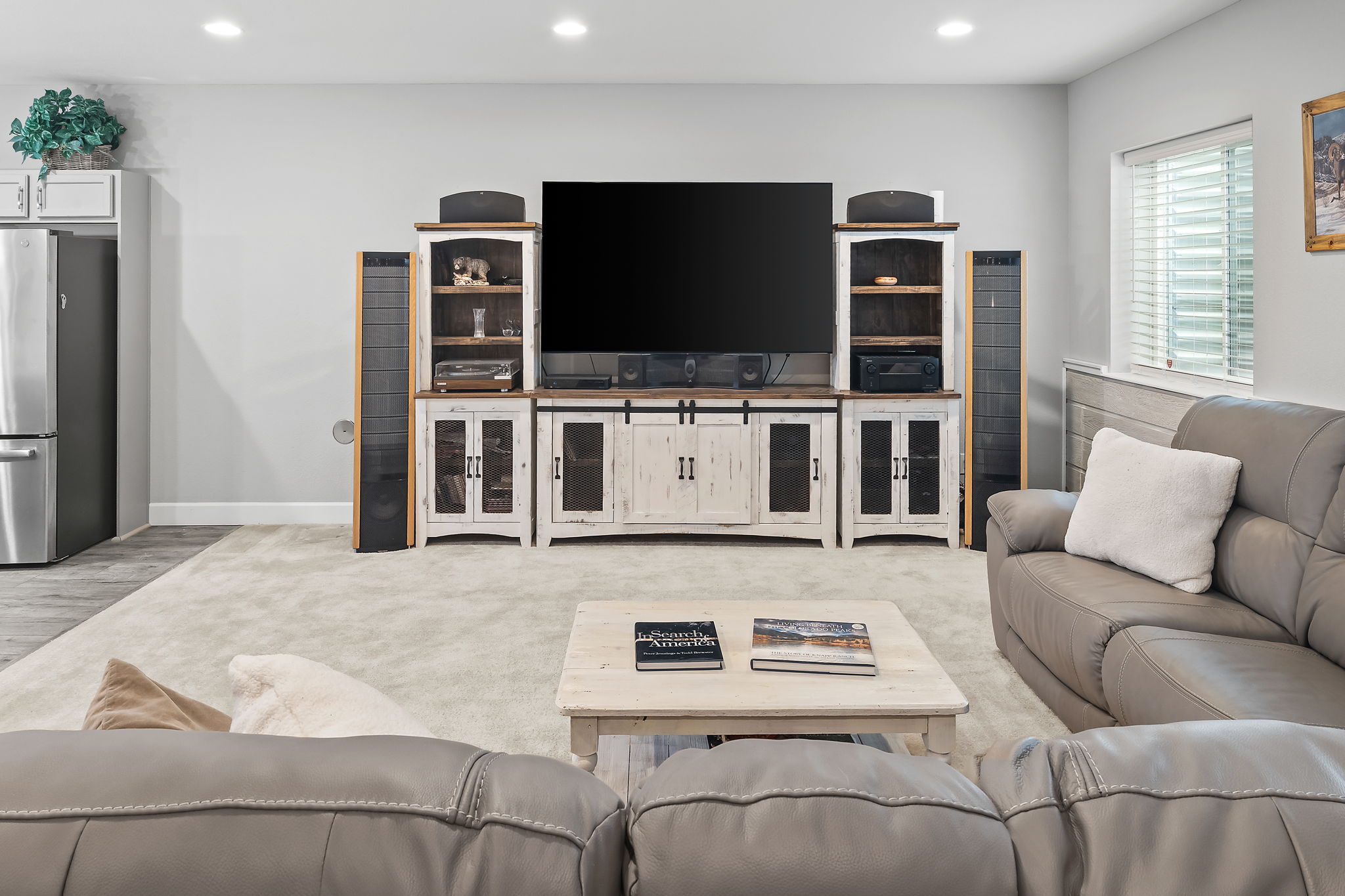 Basement Living Room 2