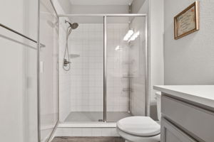 Basement Bath 2