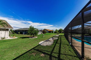 Backyard 3