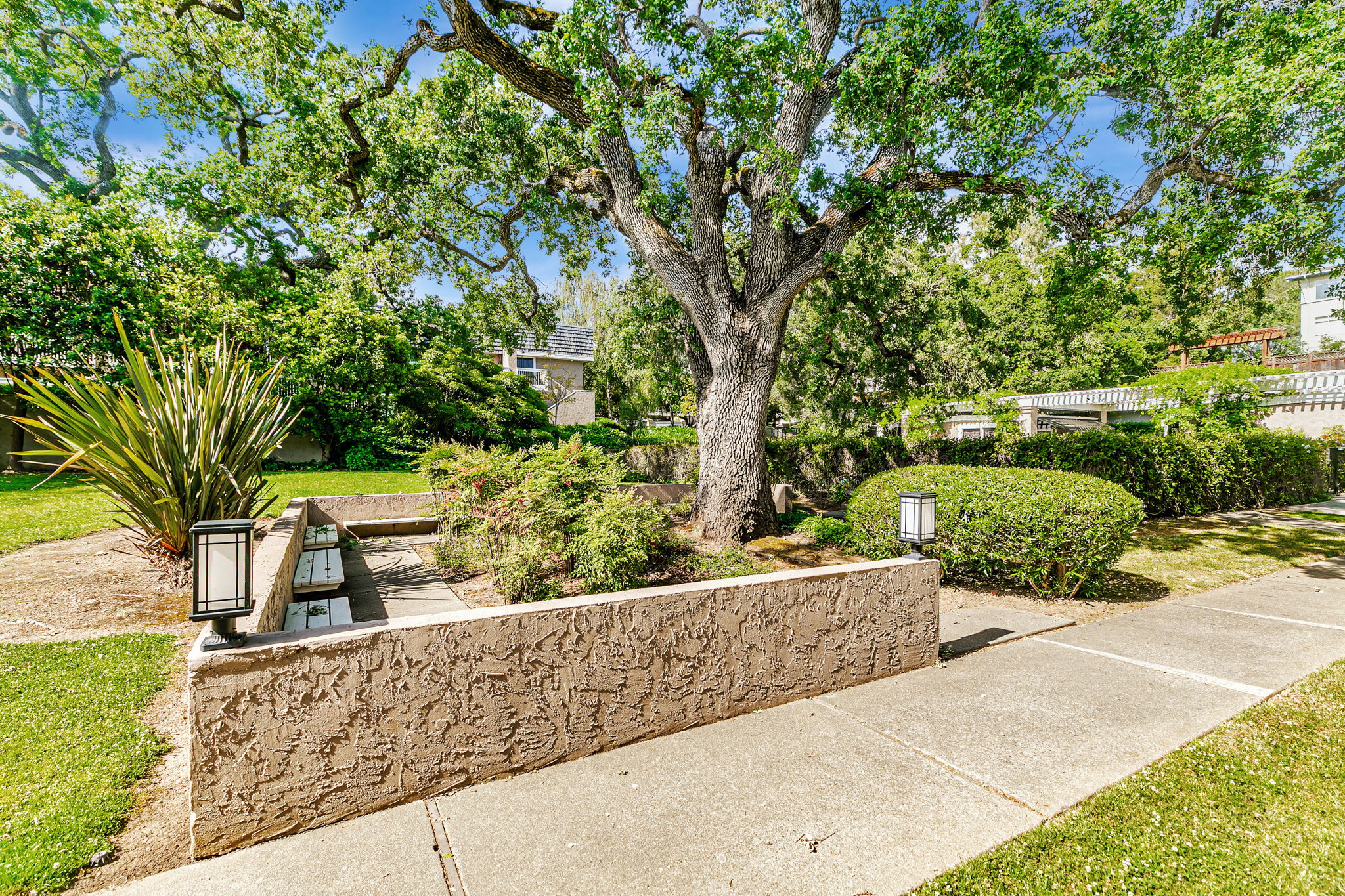 048_ 675 Sharon Park Dr 231