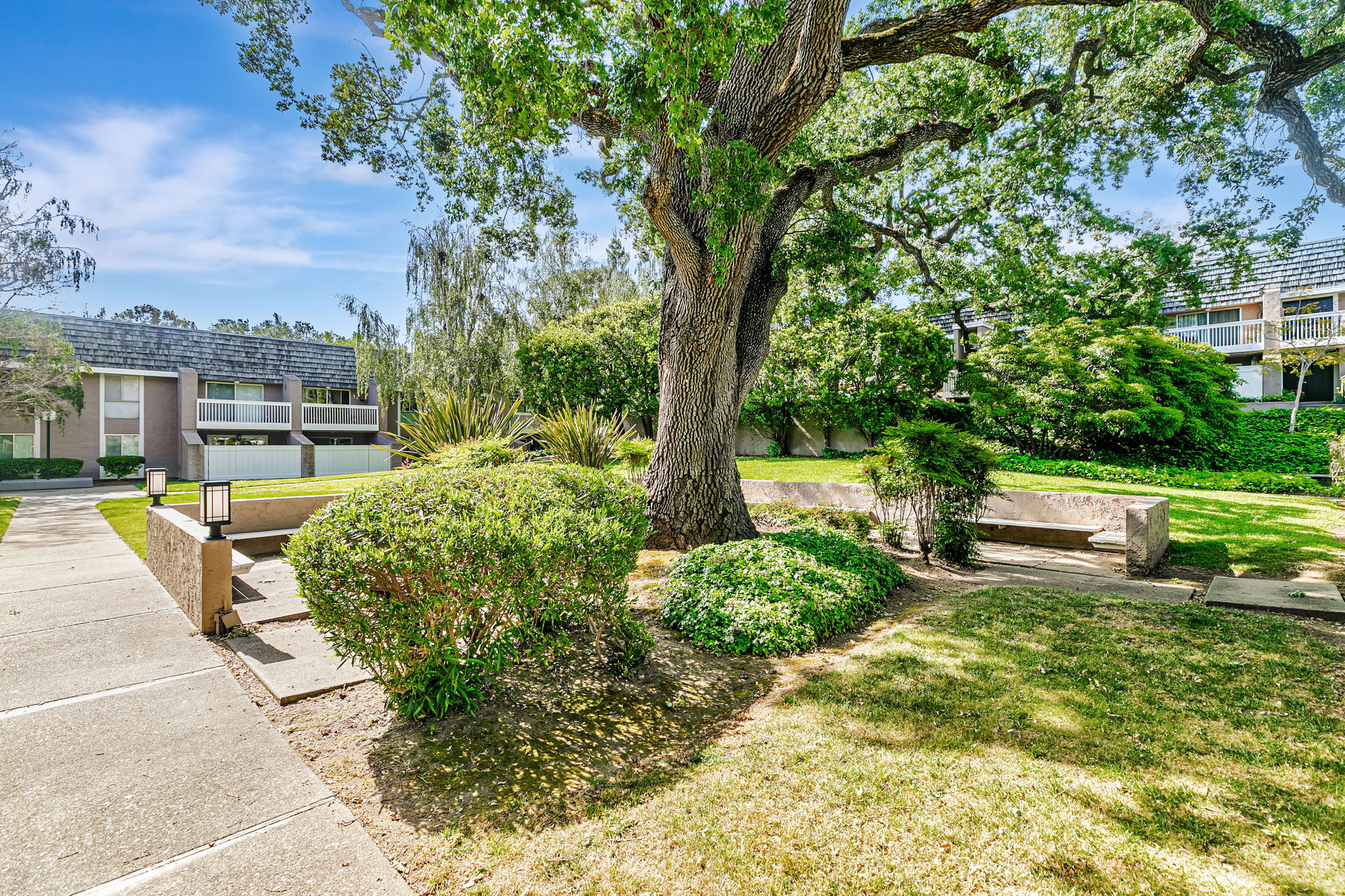 050_ 675 Sharon Park Dr 231