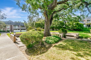 050_ 675 Sharon Park Dr 231
