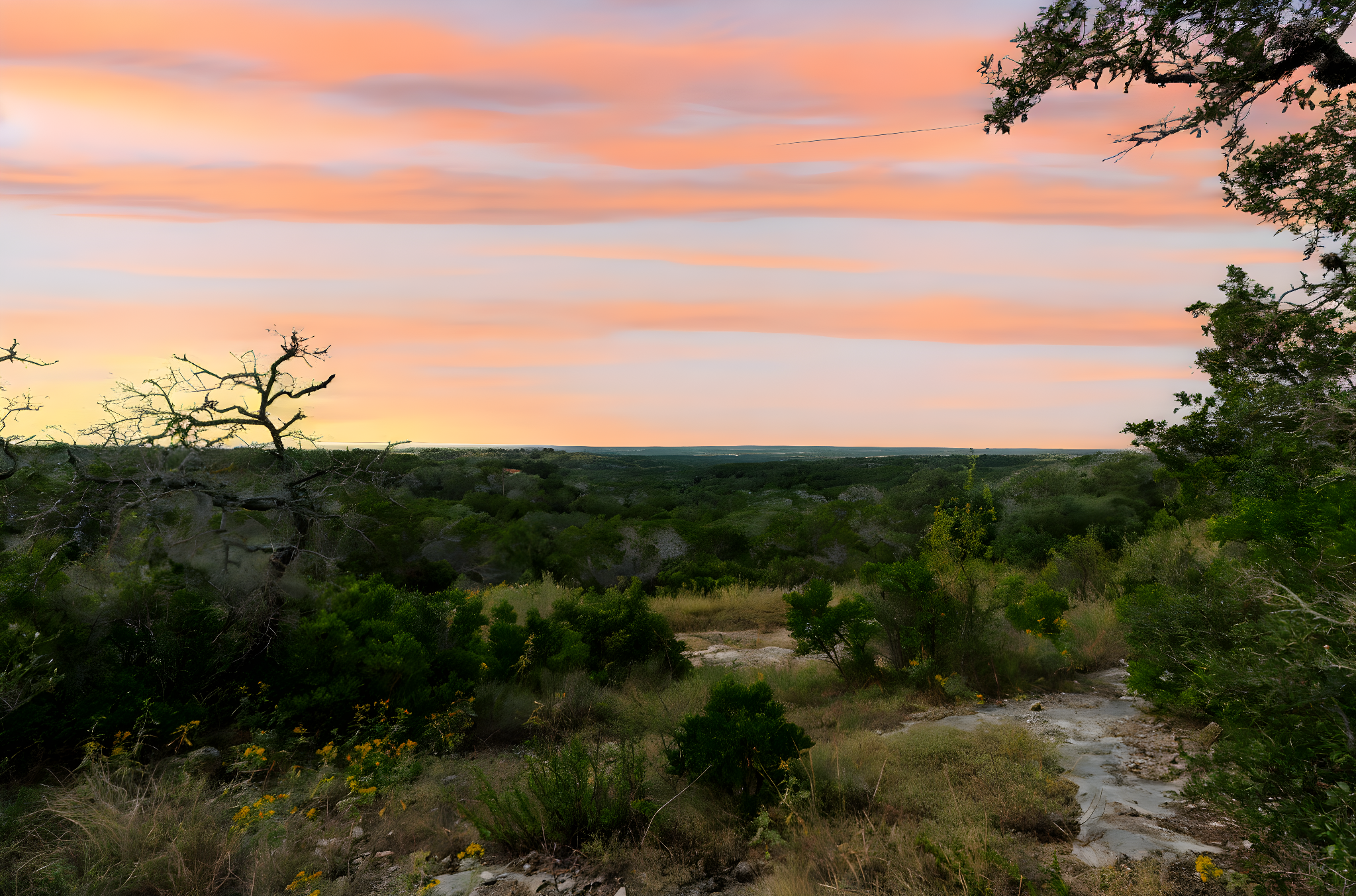 DSC07991 day to dusk.jpeg