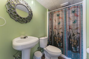  Photo 47