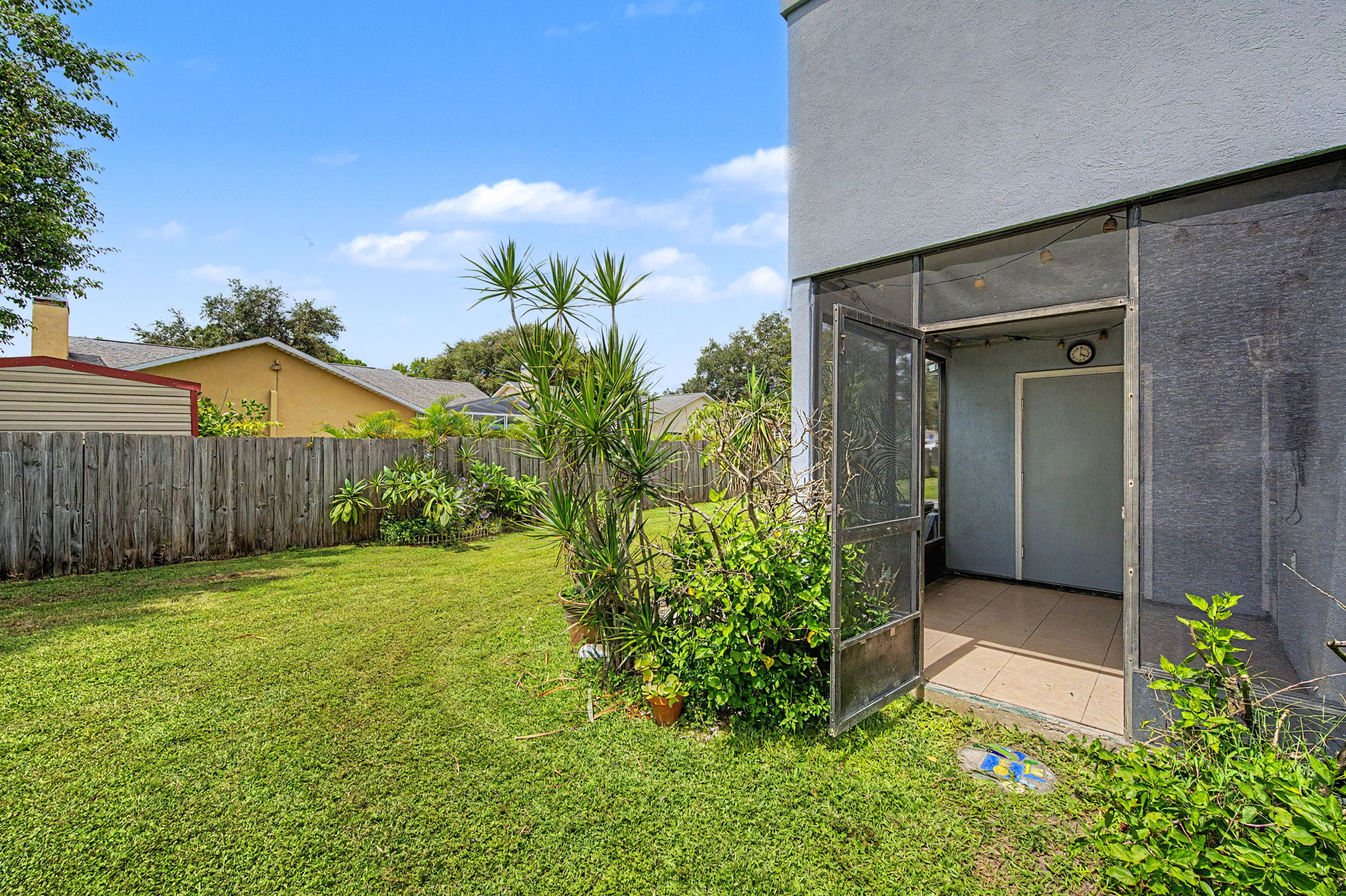 Backyard 2