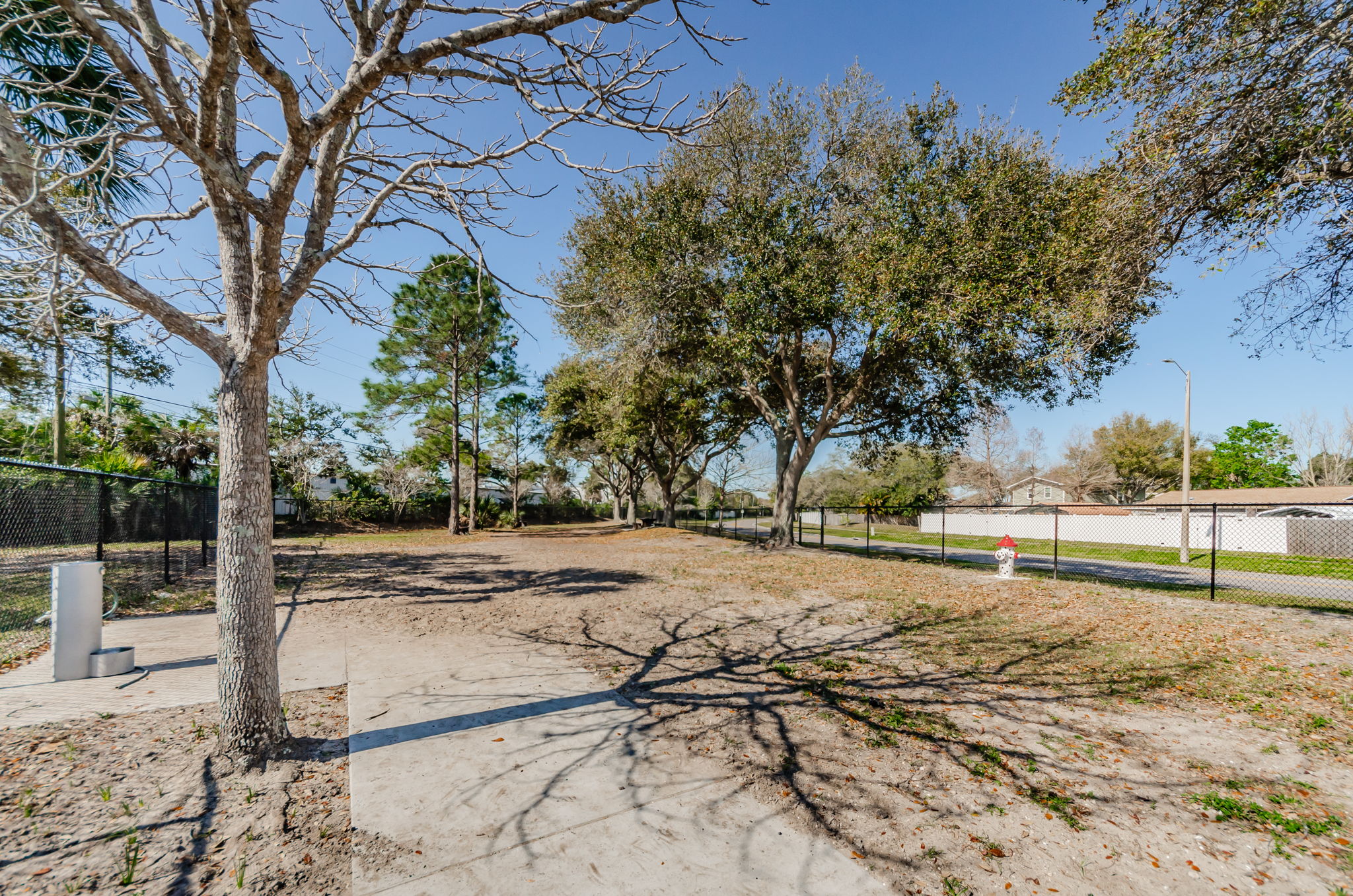 Dog Park 1-3