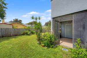 Backyard 2