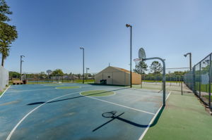 Backet Ball Courts 1-1