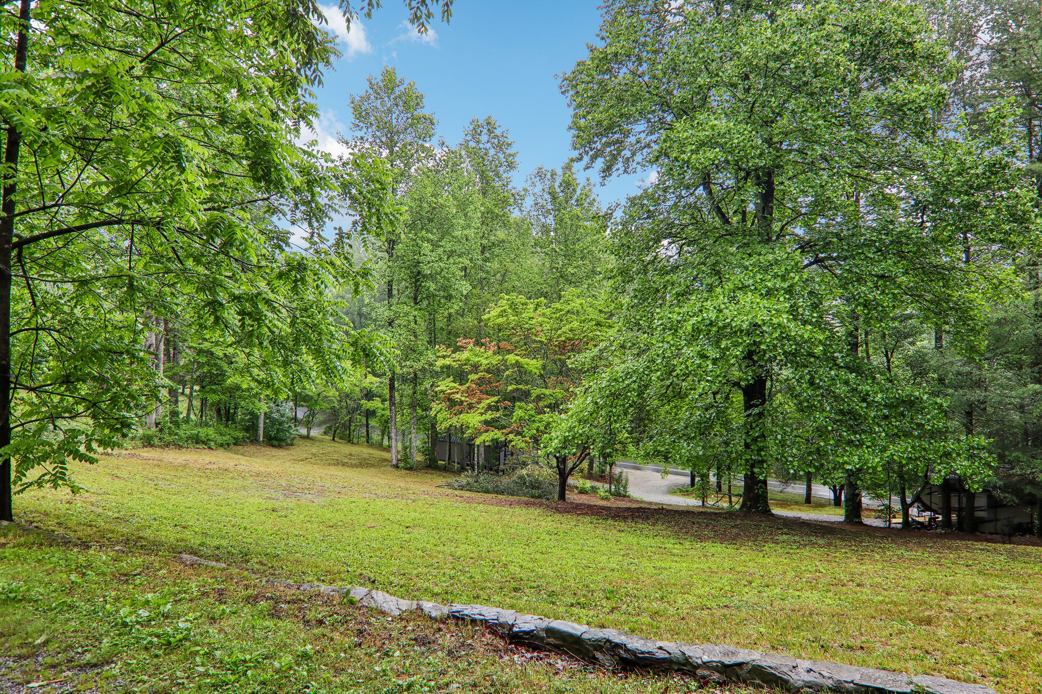 Mt Olivet Rd-S2705-031.jpg