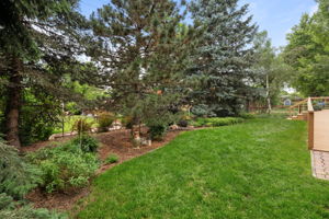  Photo 39