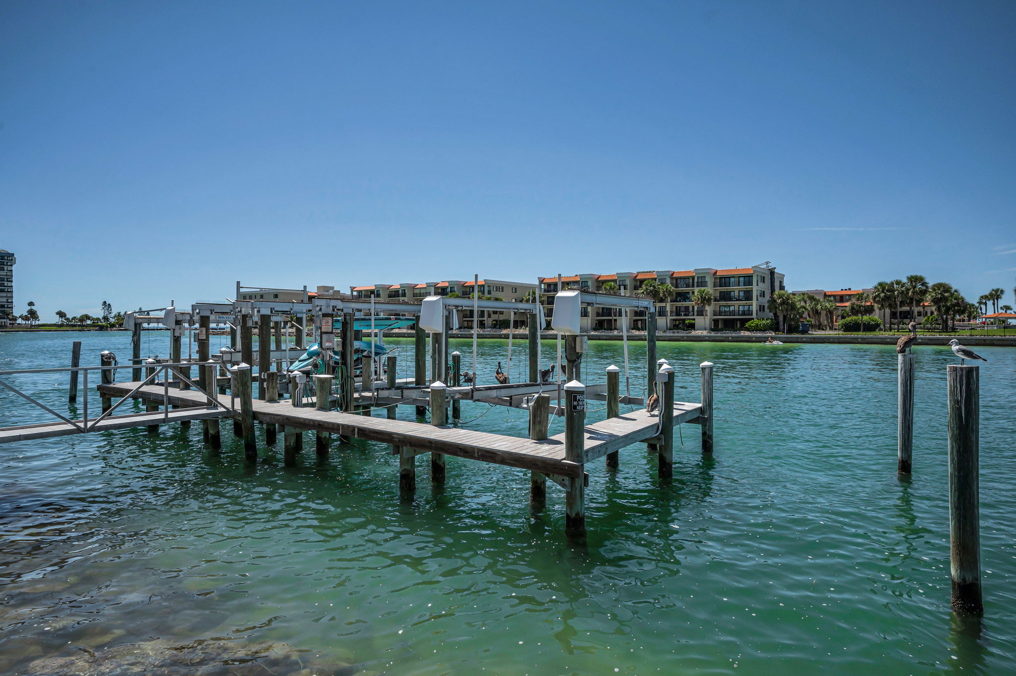 Dock6