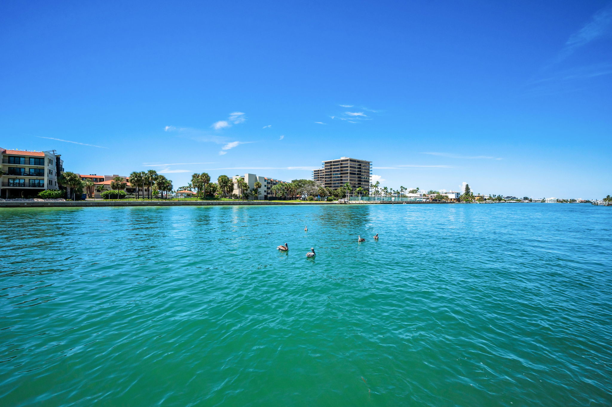 Water View1