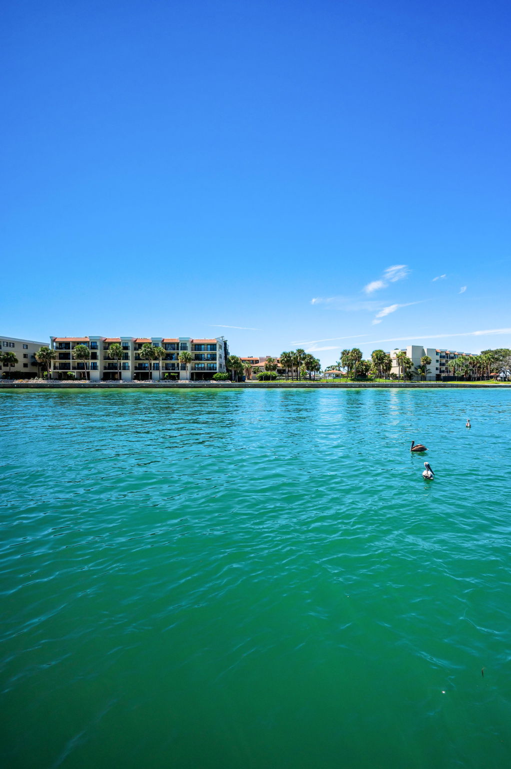 Water View2