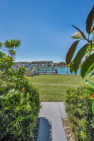 Backyard1
