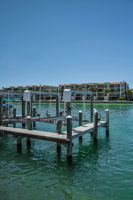 Dock4