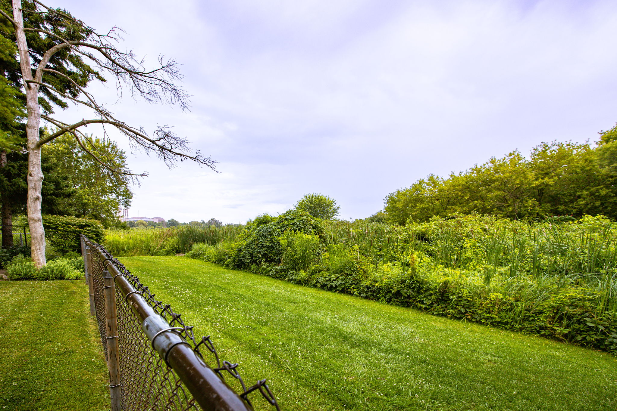 Pickering property showcase — delivered property photograph 68