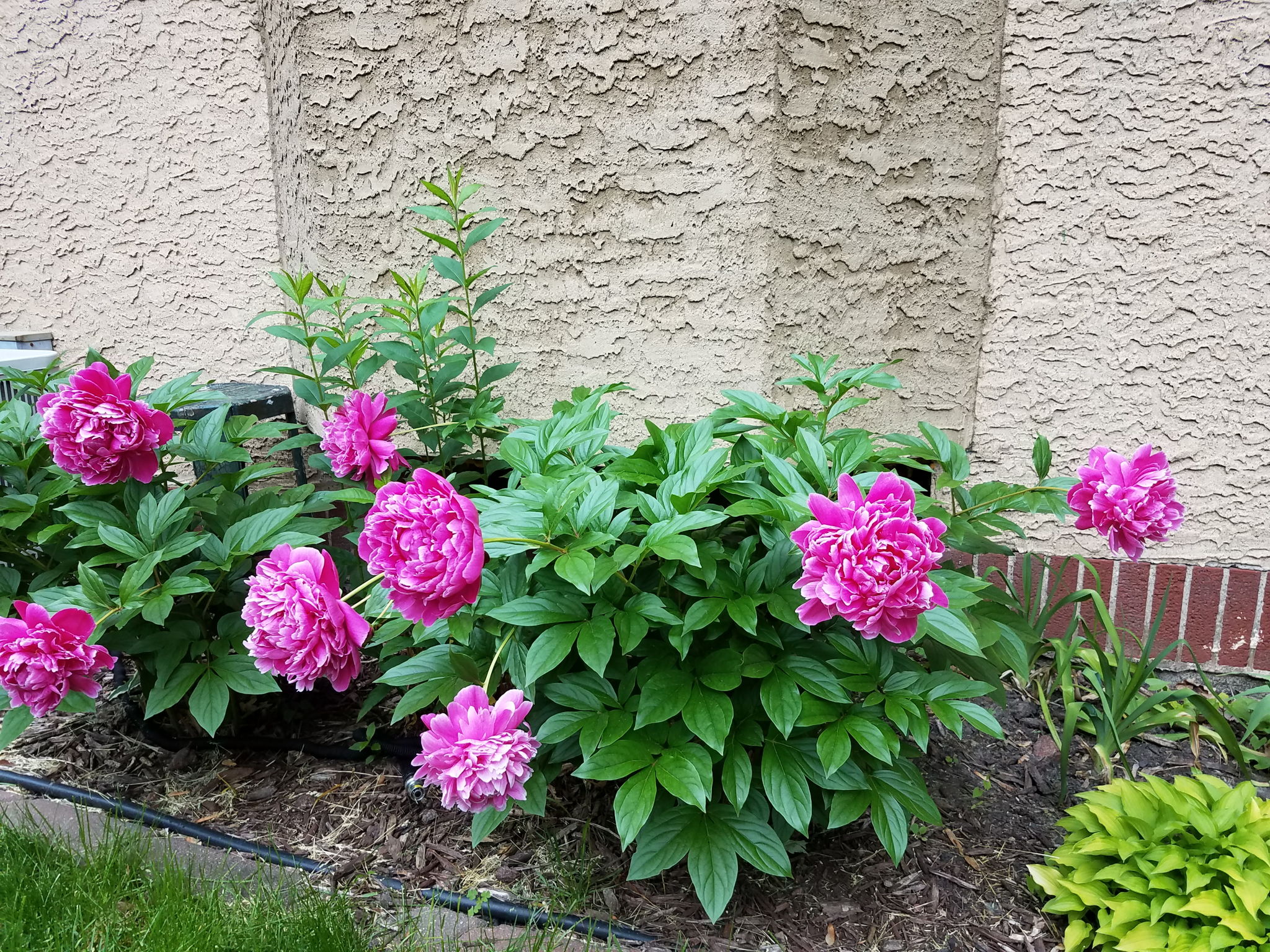  Photo 25