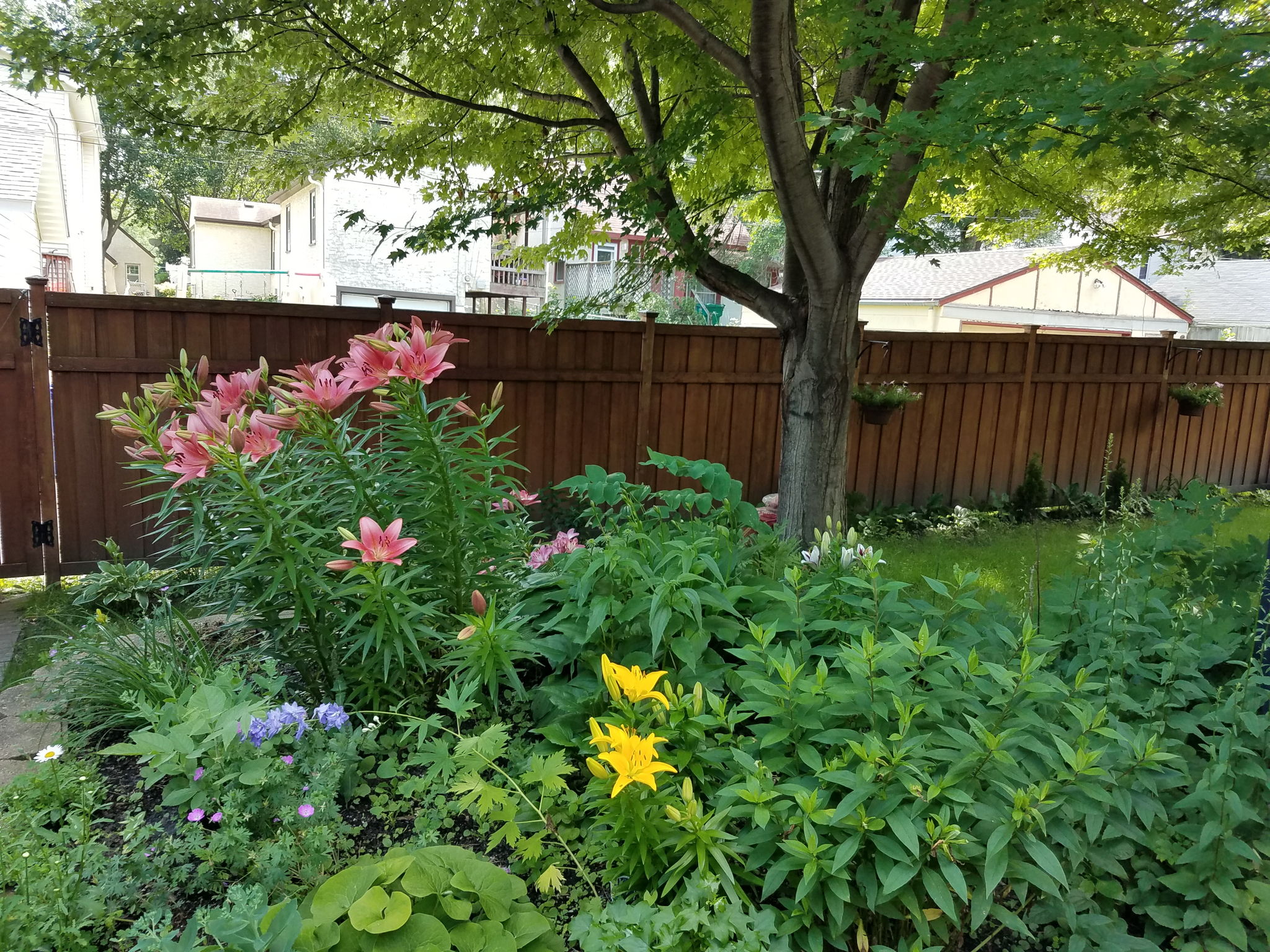  Photo 26