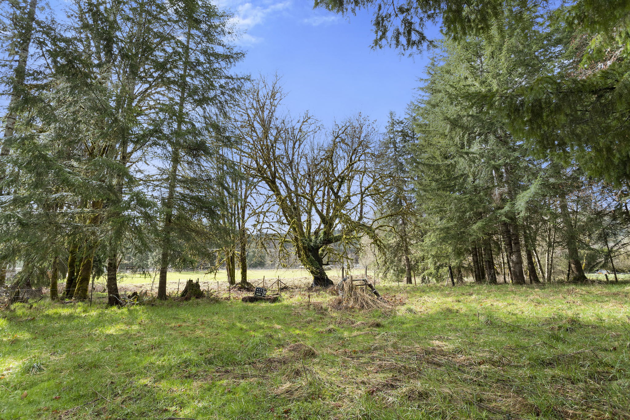 67825 Taylor Ln, Vernonia, OR 97064, USA Photo 35