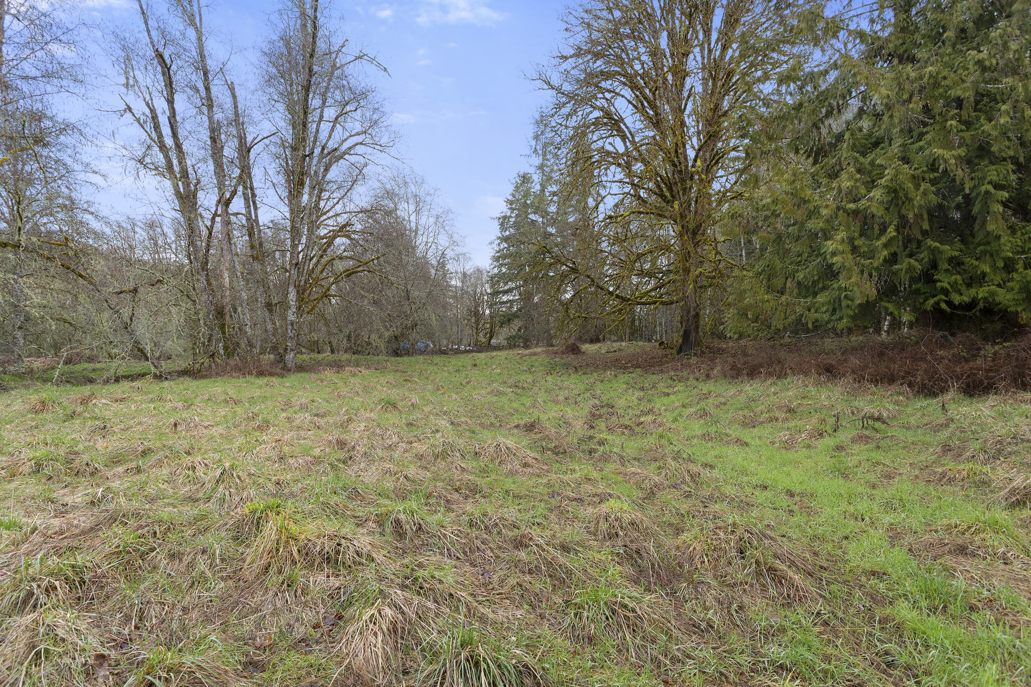 67825 Taylor Ln, Vernonia, OR 97064, USA Photo 38