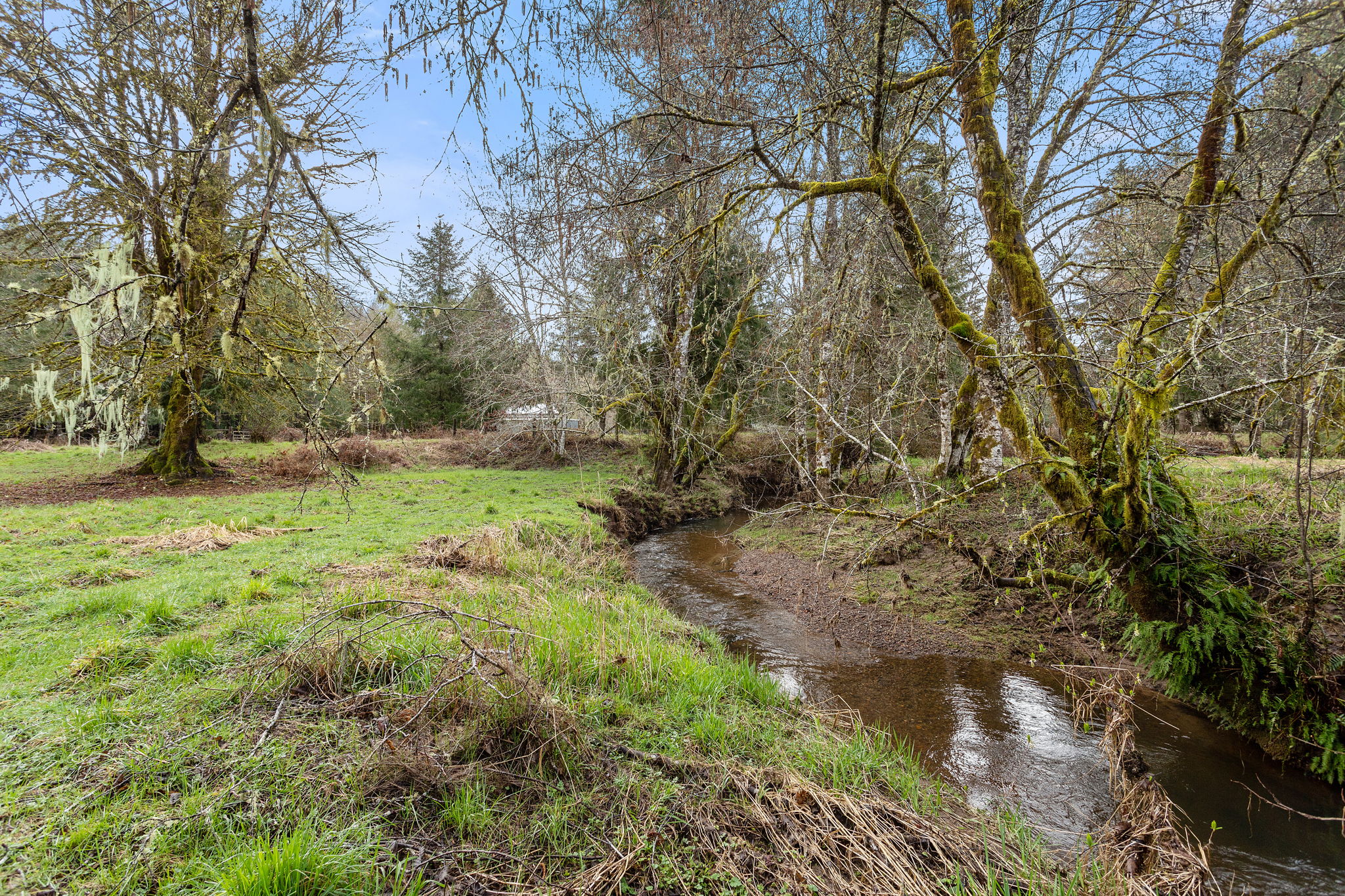 67825 Taylor Ln, Vernonia, OR 97064, USA Photo 39