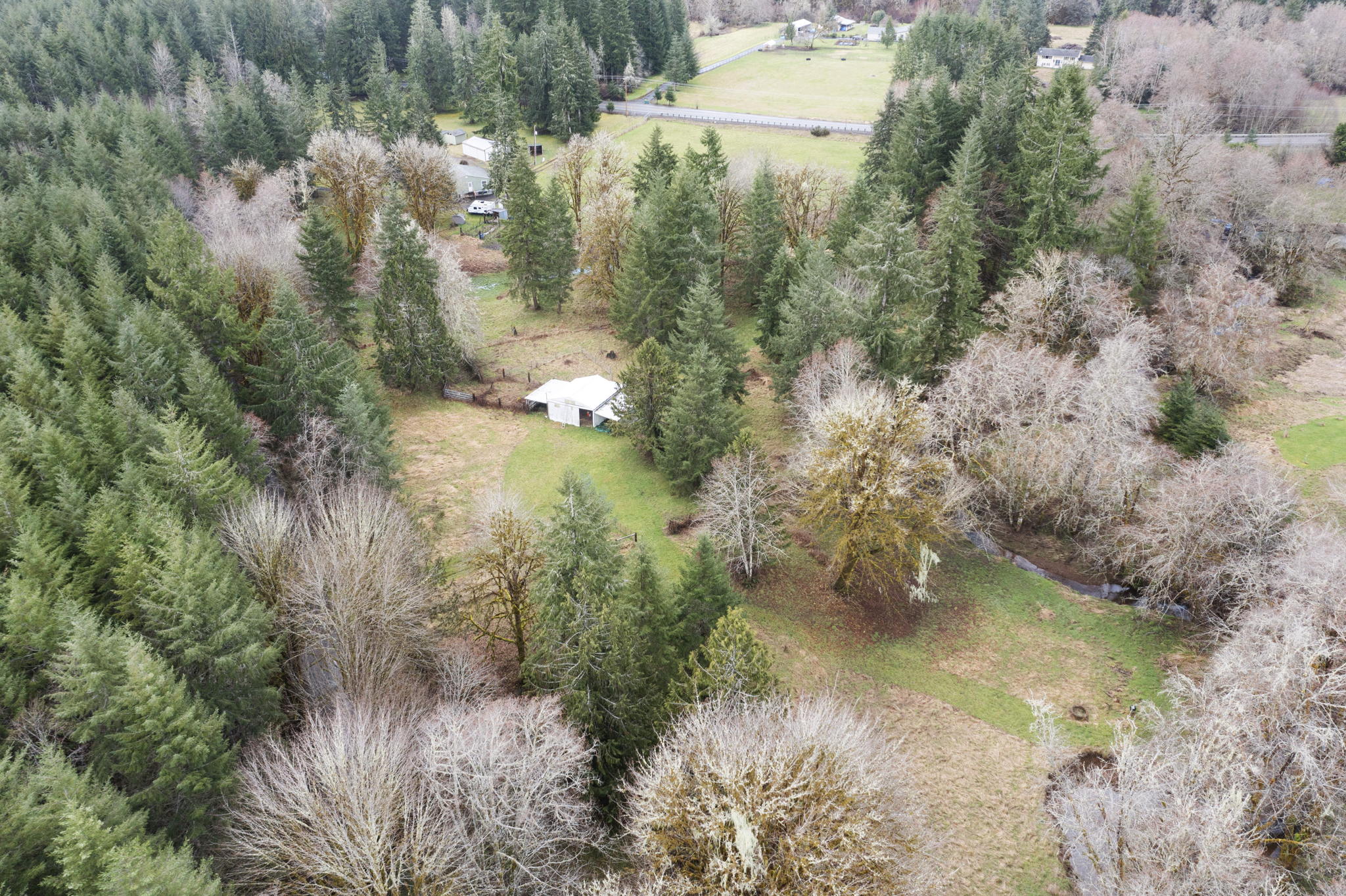 67825 Taylor Ln, Vernonia, OR 97064, USA Photo 50