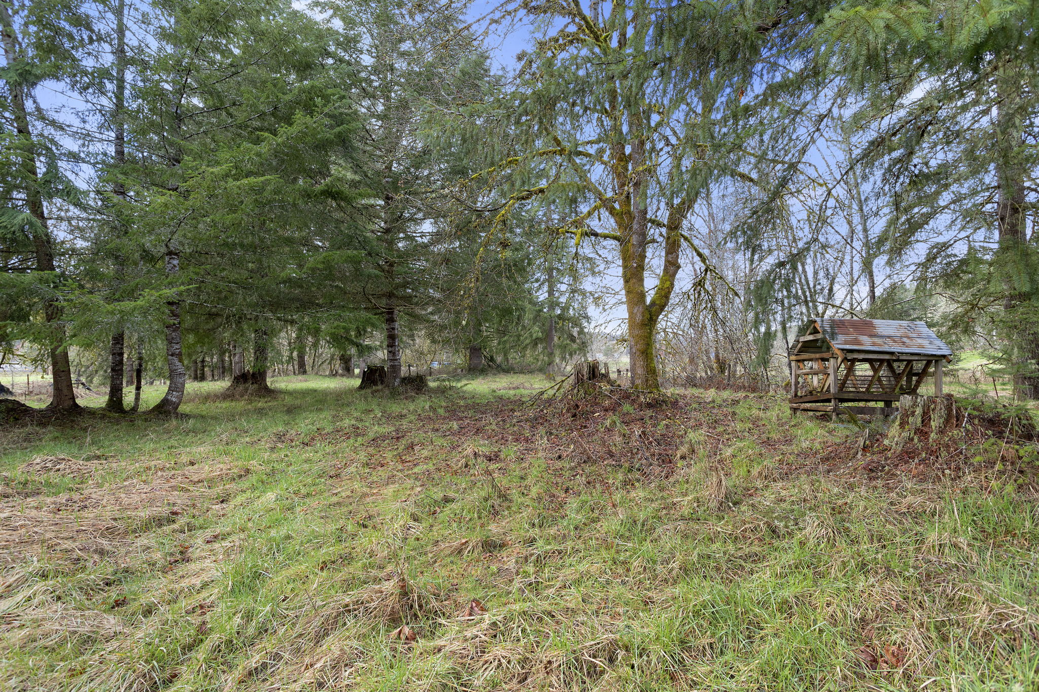 67825 Taylor Ln, Vernonia, OR 97064, USA Photo 37