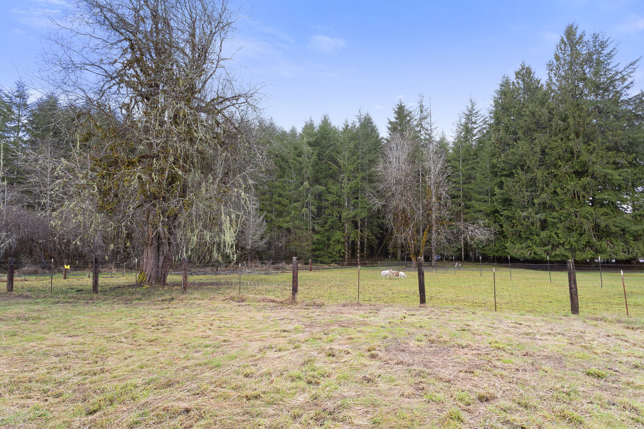 67825 Taylor Ln, Vernonia, OR 97064, USA Photo 45