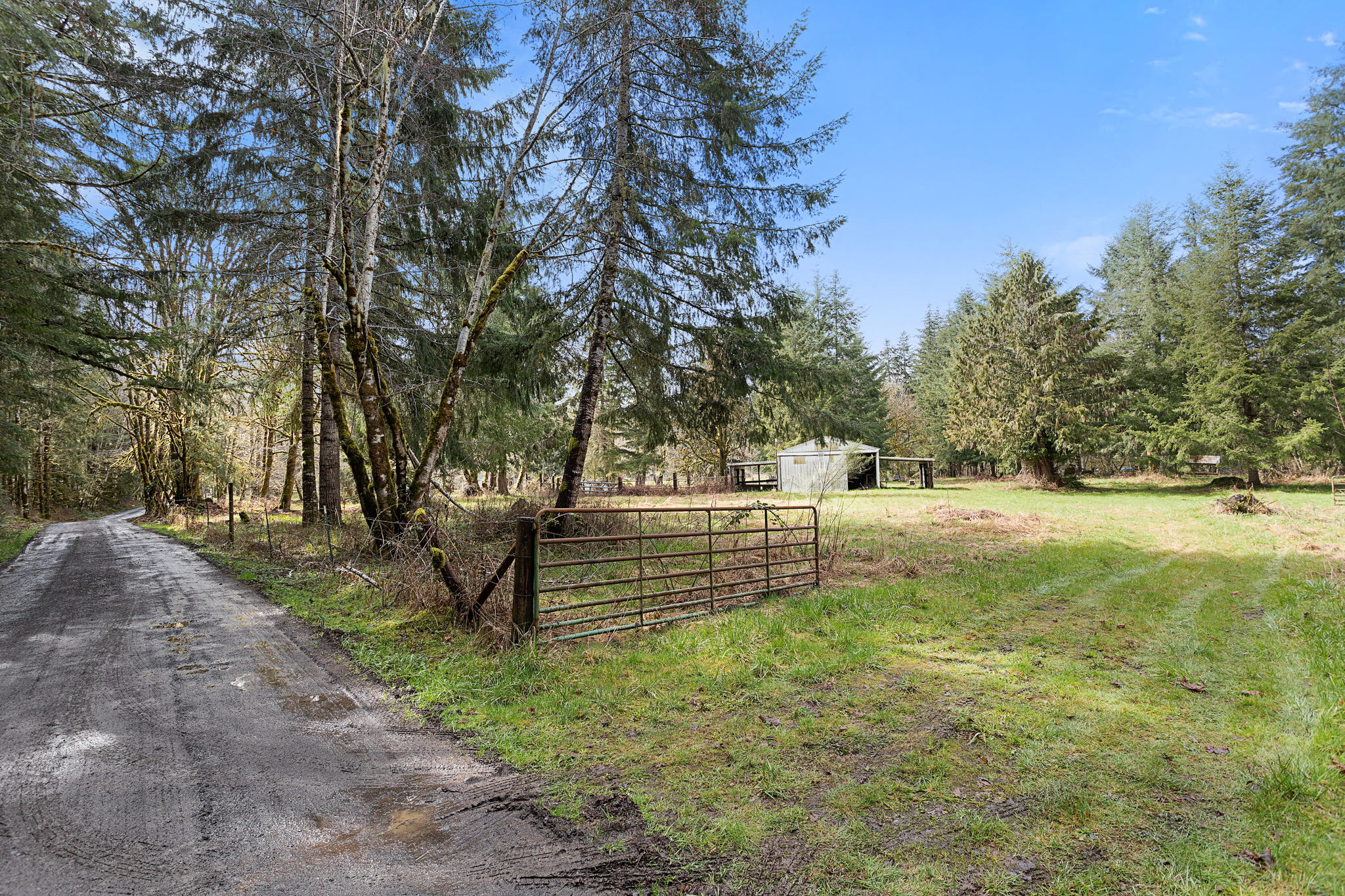 67825 Taylor Ln, Vernonia, OR 97064, USA Photo 34