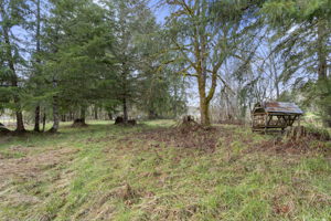 67825 Taylor Ln, Vernonia, OR 97064, USA Photo 36